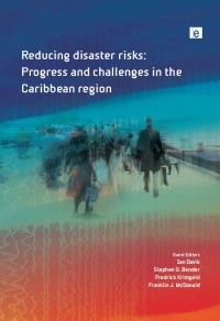 Titelbild: Reducing Disaster Risks 1st edition 9781849713573
