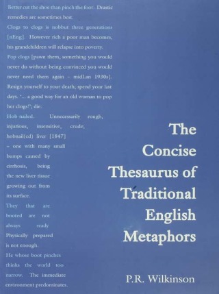 Cover image: Concise Thesaurus of Traditional English Metaphors 1st edition 9780415430845