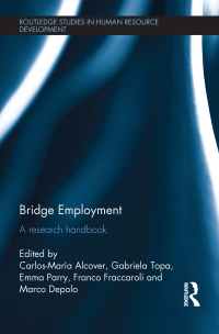 Immagine di copertina: Bridge Employment 1st edition 9780415829090