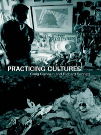 Omslagafbeelding: Practicing Culture 1st edition 9780415412506