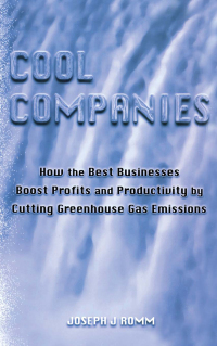 Cover image: Cool Companies 1st edition 9781853836558