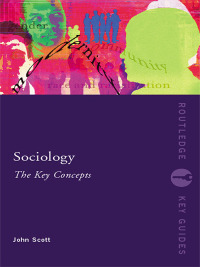 Cover image: Sociology: The Key Concepts 1st edition 9780415344067