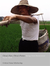 Immagine di copertina: China's Past, China's Future 1st edition 9780415314985