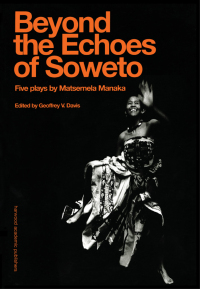 Cover image: Beyond The Echoes of Soweto 1st edition 9789057021602