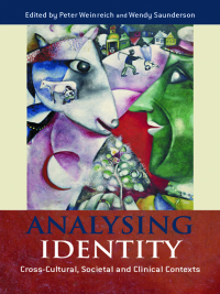 Cover image: Analysing Identity 1st edition 9780415298971