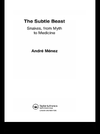 Imagen de portada: The Subtle Beast 1st edition 9780415284981