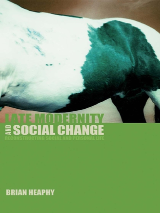 Cover image: Late Modernity and Social Change 1st edition 9780415281768