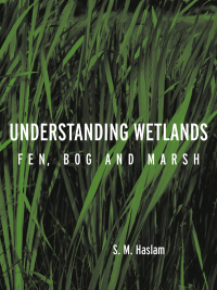 Titelbild: Understanding Wetlands 1st edition 9780415257947
