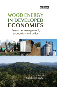 Imagen de portada: Wood Energy in Developed Economies 1st edition 9781138364196