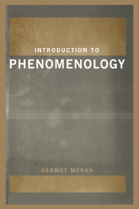Imagen de portada: Introduction to Phenomenology 1st edition 9780415183727