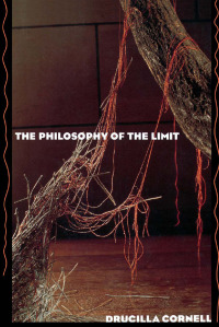 Cover image: The Philosophy of the Limit 1st edition 9780415902380