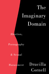 Cover image: The Imaginary Domain 1st edition 9780415911603