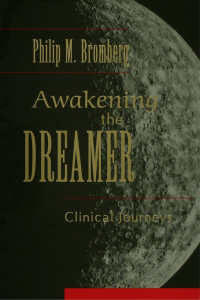 Cover image: Awakening the Dreamer 1st edition 9780881634419