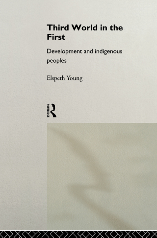 Imagen de portada: Third World in the First 1st edition 9780415116732