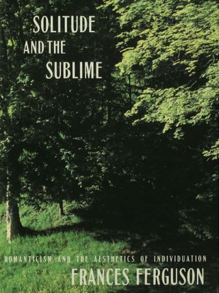 Imagen de portada: Solitude and the Sublime 1st edition 9780415905497