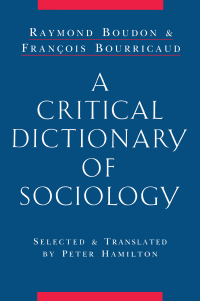 صورة الغلاف: A Critical Dictionary of Sociology 1st edition 9780415861915