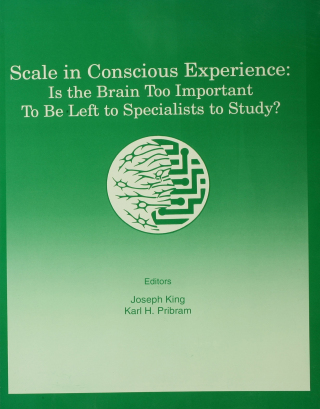表紙画像: Scale in Conscious Experience 1st edition 9780805821789