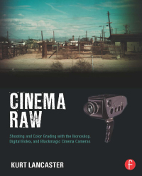 صورة الغلاف: Cinema Raw 1st edition 9781138425958