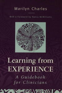 Omslagafbeelding: Learning from Experience 1st edition 9781138173897