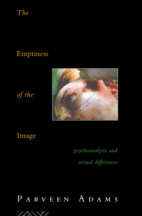 Imagen de portada: The Emptiness of the Image 1st edition 9780415046220