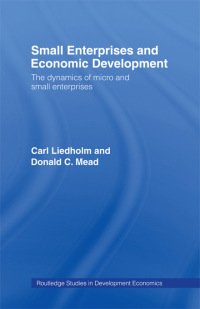 Titelbild: Small Enterprises and Economic Development 1st edition 9780415193511
