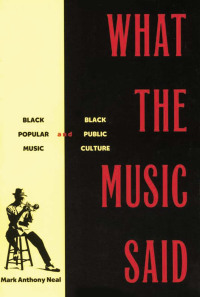 Omslagafbeelding: What the Music Said 1st edition 9780415920728