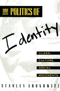 صورة الغلاف: The Politics of Identity 1st edition 9780415904360