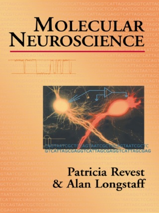 Cover image: Molecular Neuroscience 1st edition 9781859962503