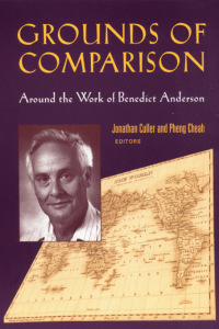 Cover image: Grounds of Comparison 1st edition 9780415943352