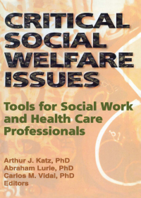Cover image: Critical Social Welfare Issues 1st edition 9780789001610