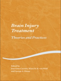 Imagen de portada: Brain Injury Treatment 1st edition 9780415653701