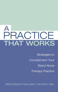 Omslagafbeelding: A Practice that Works 1st edition 9780415861168