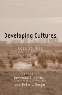 Omslagafbeelding: Developing Cultures 1st edition 9780415952804