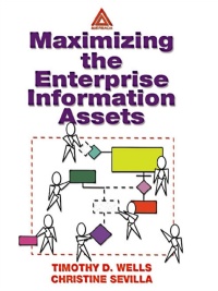 Cover image: Maximizing The Enterprise Information Assets 1st edition 9781138440500