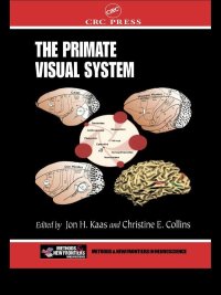 Titelbild: The Primate Visual System 1st edition 9780849312434