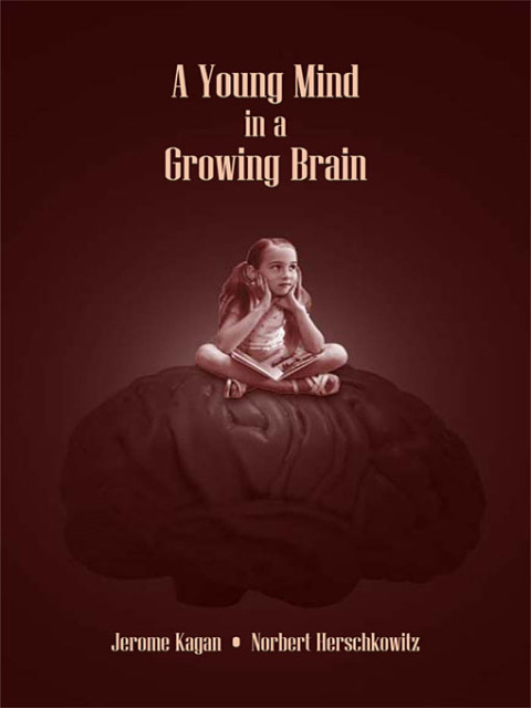 A Young Mind in a Growing Brain, 1st Edition - FULL INSTANT DOWNLOAD | PDF DOCX EPUB