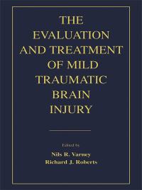 Imagen de portada: The Evaluation and Treatment of Mild Traumatic Brain Injury 1st edition 9780805823936