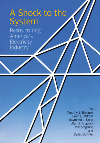 Cover image: A Shock to the System 1st edition 9781138419032