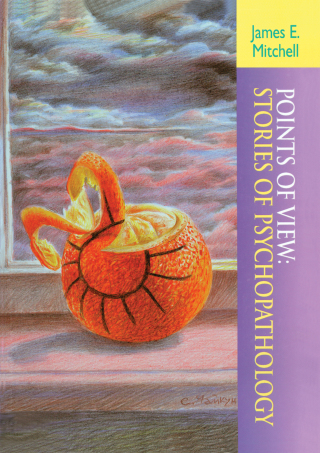 Cover image: Points of View 1st edition 9781138462007