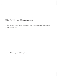 Imagen de portada: Pitfall or Panacea 1st edition 9780415947527