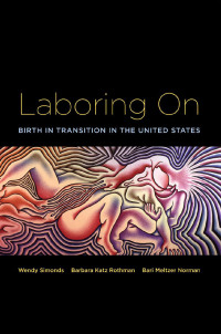 Imagen de portada: Laboring On 1st edition 9780415946629