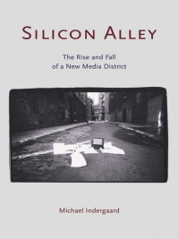 Omslagafbeelding: Silicon Alley 1st edition 9780415935708