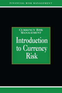 Cover image: Introduction to Currency Risk 1st edition 9781579582173