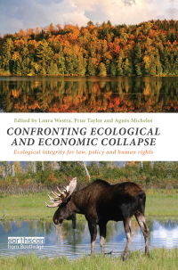 Imagen de portada: Confronting Ecological and Economic Collapse 1st edition 9780415730556