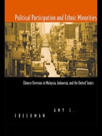 صورة الغلاف: Political Participation and Ethnic Minorities 1st edition 9780415924450