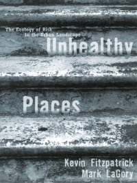 Omslagafbeelding: Unhealthy Places 1st edition 9780415923712