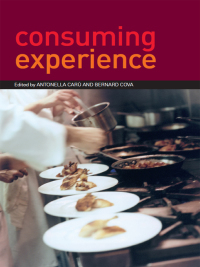 Imagen de portada: Consuming Experience 1st edition 9780415382434
