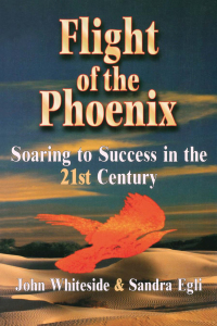 Cover image: Flight of the Phoenix 1st edition 9781138470064