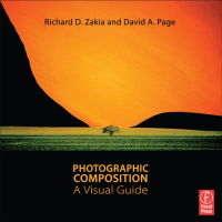 Cover image: Photographic Composition 1st edition 9780240815077