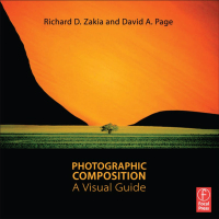 Titelbild: Photographic Composition 1st edition 9780240815077